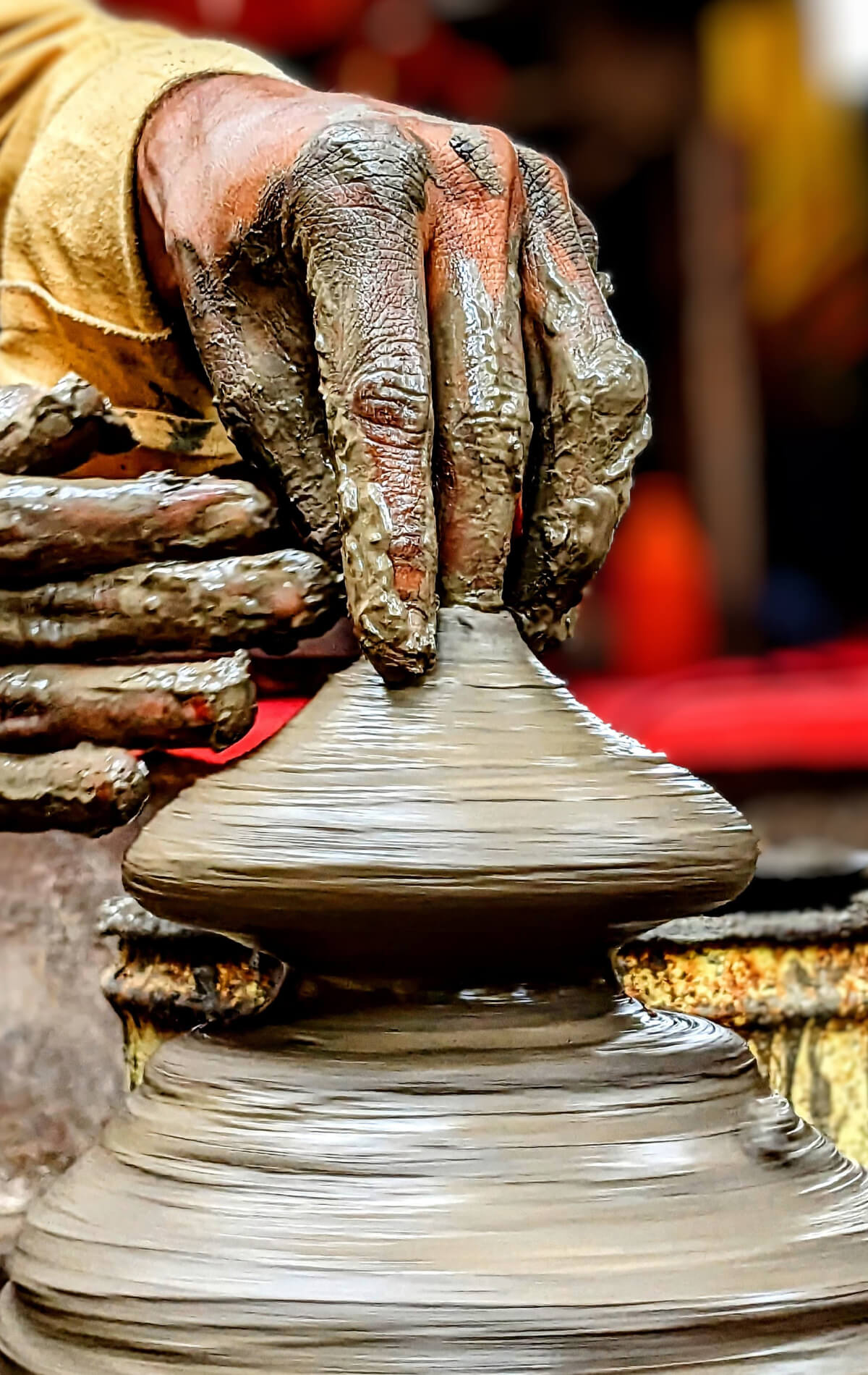 Wellbeing & Experiences