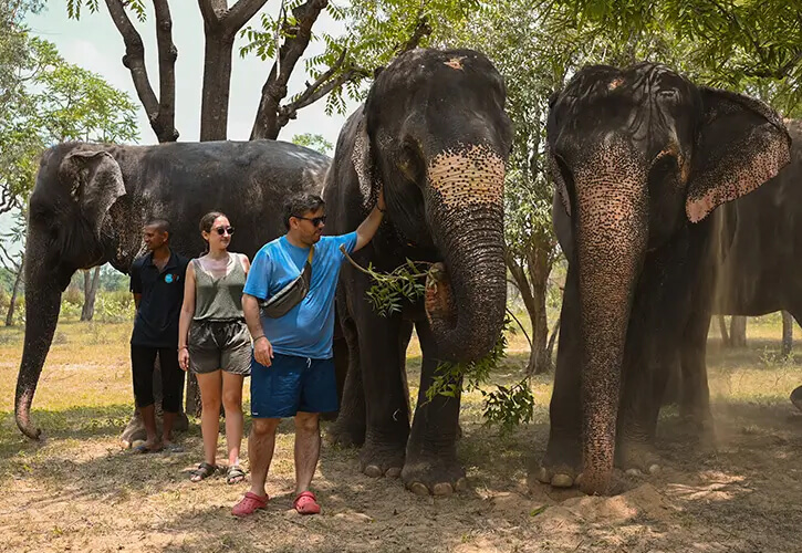 Elephant Experience at Elefantastic